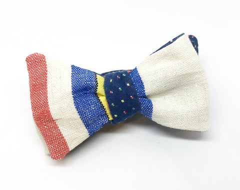 Broad Stripe and Polka Dot Bow Tie