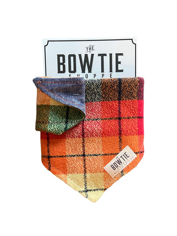 Reversible Pet Bandana - Crayon Check and Chambray