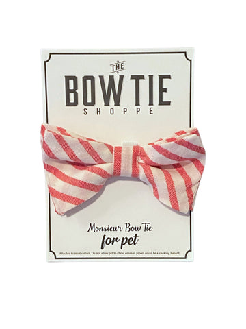 Monsieur Pet Bow Tie - Candy Stripe